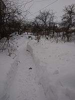 Не поделили